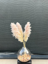 Cargar imagen en el visor de la galería, Pampas Soft Cloud