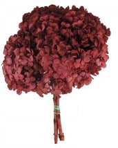 Cargar imagen en el visor de la galería, Hortensias Preservadas Varios Colores