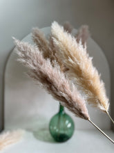 Cargar imagen en el visor de la galería, Pampas Holandesas (Beige)