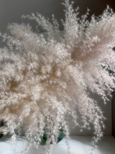 Cargar imagen en el visor de la galería, Pampas diamante