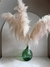 Cargar imagen en el visor de la galería, Pampas diamante