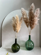 Cargar imagen en el visor de la galería, Pampas Holandesas (Beige)