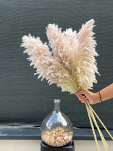 Cargar imagen en el visor de la galería, Pampas Soft Cloud