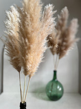 Cargar imagen en el visor de la galería, Pampas Holandesas (Beige)