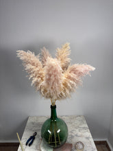 Cargar imagen en el visor de la galería, Pampas Soft Cloud