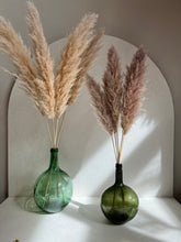 Cargar imagen en el visor de la galería, Pampas Holandesas (Beige)