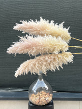 Cargar imagen en el visor de la galería, Pampas Soft Cloud