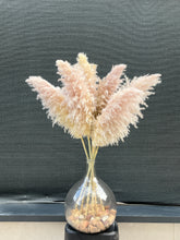 Cargar imagen en el visor de la galería, Pampas Soft Cloud