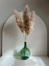 Cargar imagen en el visor de la galería, Pampas Holandesas (Beige)