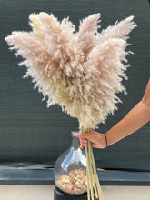 Cargar imagen en el visor de la galería, Pampas Soft Cloud