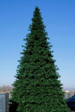 Cargar imagen en el visor de la galería, Árbol de navidad gigante luces led integradas