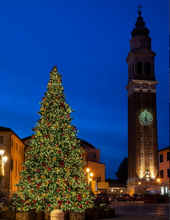 Cargar imagen en el visor de la galería, Árbol de navidad gigante luces led integradas