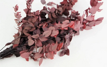 Cargar imagen en el visor de la galería, Eucalipto Varios colores