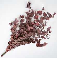 Cargar imagen en el visor de la galería, Eucalipto Varios colores