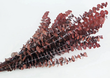 Cargar imagen en el visor de la galería, Eucalipto Baby Varios Colores