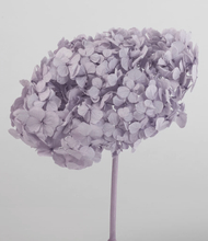 Cargar imagen en el visor de la galería, Hortensias Preservadas Varios Colores