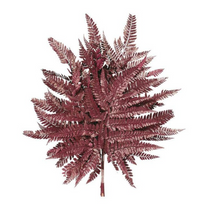 Cargar imagen en el visor de la galería, Helecho Cuero Preservado