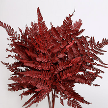 Cargar imagen en el visor de la galería, Helecho Cuero Preservado