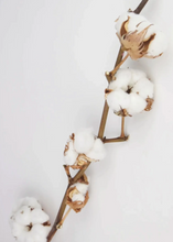 Cargar imagen en el visor de la galería, Rama Algodón Seca