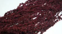 Cargar imagen en el visor de la galería, Amaranthus Preservado Varios tonos