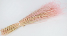 Cargar imagen en el visor de la galería, Stypa Pennata Varios Colores