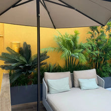 Cargar imagen en el visor de la galería, Planta Cyca Exterior