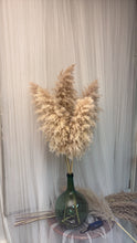 Cargar imagen en el visor de la galería, Pampas Soft Cloud