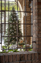 Cargar imagen en el visor de la galería, Bola de cristal irisado Varios Tamaños