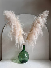 Cargar imagen en el visor de la galería, Pampas diamante