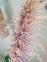 Cargar imagen en el visor de la galería, Pampas Preservadas Cascabel