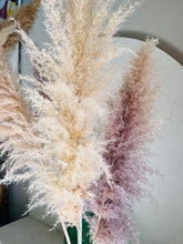 Cargar imagen en el visor de la galería, Pampas Preservadas Cascabel