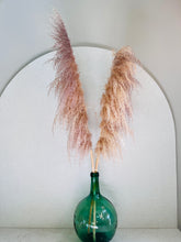 Cargar imagen en el visor de la galería, Pampas Preservadas Cascabel