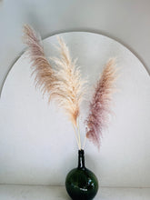 Cargar imagen en el visor de la galería, Pampas Preservadas Cascabel