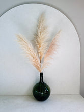 Cargar imagen en el visor de la galería, Pampas Preservadas Cascabel