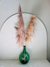 Cargar imagen en el visor de la galería, Pampas Preservadas Cascabel