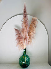 Cargar imagen en el visor de la galería, Pampas Preservadas Cascabel