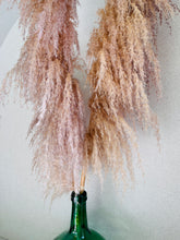 Cargar imagen en el visor de la galería, Pampas Preservadas Cascabel