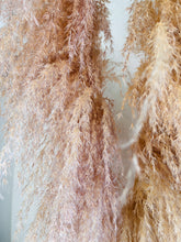 Cargar imagen en el visor de la galería, Pampas Preservadas Cascabel