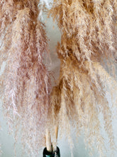 Cargar imagen en el visor de la galería, Pampas Preservadas Cascabel