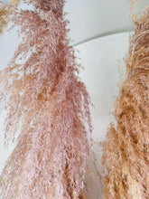 Cargar imagen en el visor de la galería, Pampas Preservadas Cascabel