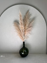 Cargar imagen en el visor de la galería, Pampas Preservadas Cascabel