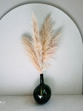 Cargar imagen en el visor de la galería, Pampas Preservadas Cascabel