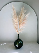 Cargar imagen en el visor de la galería, Pampas Preservadas Cascabel