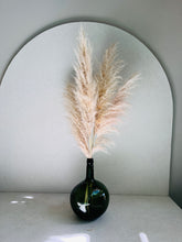 Cargar imagen en el visor de la galería, Pampas Preservadas Cascabel