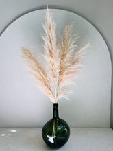 Cargar imagen en el visor de la galería, Pampas Preservadas Cascabel