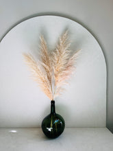 Cargar imagen en el visor de la galería, Pampas Preservadas Cascabel