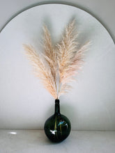 Cargar imagen en el visor de la galería, Pampas Preservadas Cascabel