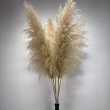 Cargar imagen en el visor de la galería, Pampas Salix