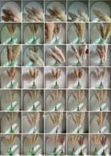 Cargar imagen en el visor de la galería, Pampas al gusto!!!