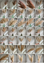 Cargar imagen en el visor de la galería, Pampas al gusto!!!